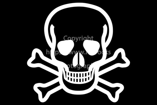 Skull crossbones flagge - skull,