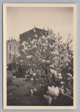 Duisburg 1950 frühling - duisburg,