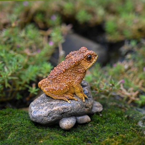 Garten deko frosch naturgetreu - frosch,