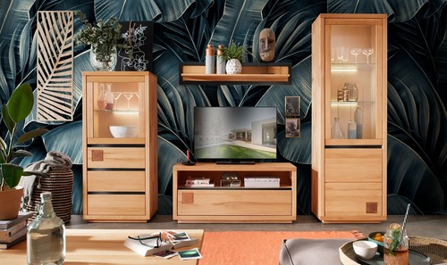 Wohnwand anbauwand massivholz - wohnwand,
