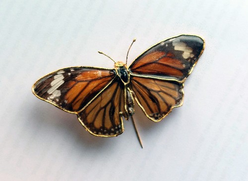 Edle schmetterlingsbrosche - edle,