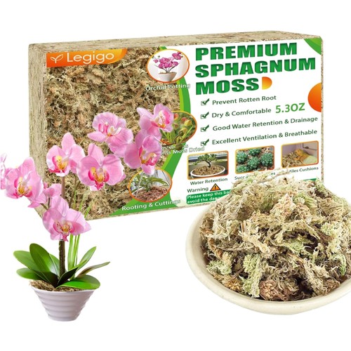 Sphagnum moos blumenerde - moos,