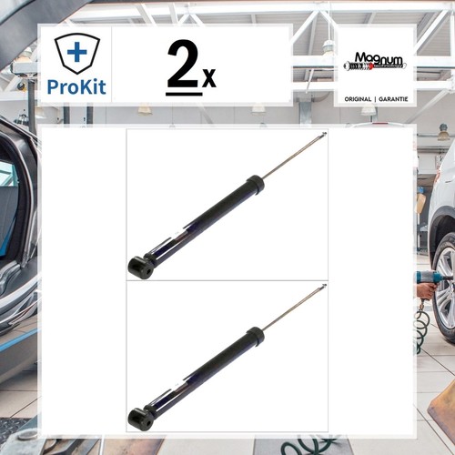 Magnum technology - 2x,