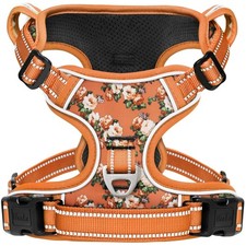 Hundegeschirr, kleine Hunde