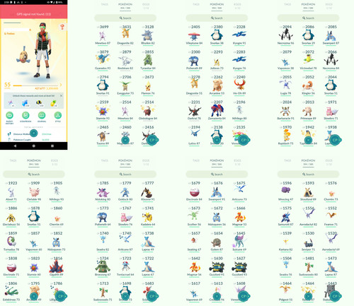 Pokémon acc lvl55 23 - pokémon,