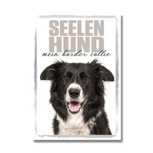 Border collie seelenhund dog - collie,