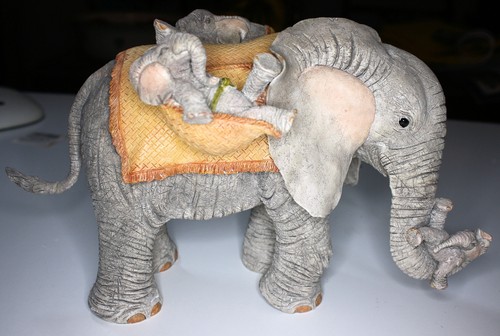 Tuskers elephants precious - tuskers, "precious