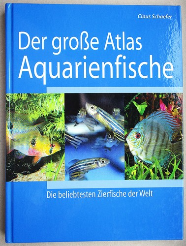 Claus schaefer der große - claus,