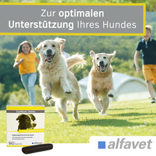 Canigum artrin alfavet - canigum,