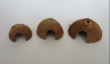 Kokosnuss Höhle S - Aquarium