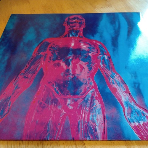 Nirvana sliver dive - 12",