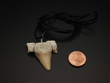 Haifischzahn Kette mit Band
