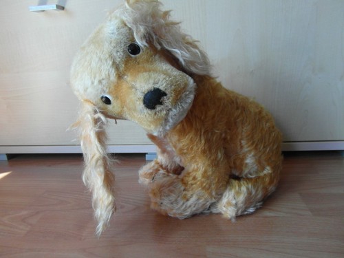 Steiff hund cockie cocker - ,