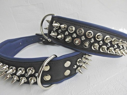 Hunde halsband halsumfang - hunde,