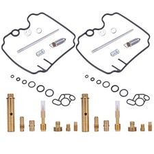 Vergaser Reparatur Satz 2