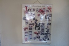 Schautafel Rollkarte Schulwandkarte Lehrtafel Meeresfrüchte Mehrsprachig