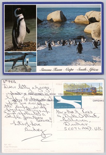 C40699 pinguine simons - pinguine, stadt