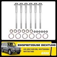 6x Injektor Schraube
