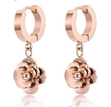 Edelstahl Ohrringe Creolen