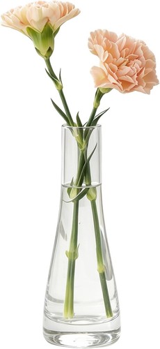 Glas blumenvase transparent - glas-blumenvase,