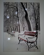 LED Bild Wandbild Park Bank