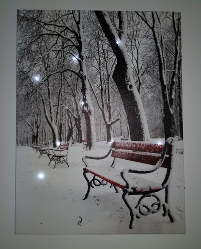Led bild wandbild park bank - wandbild,