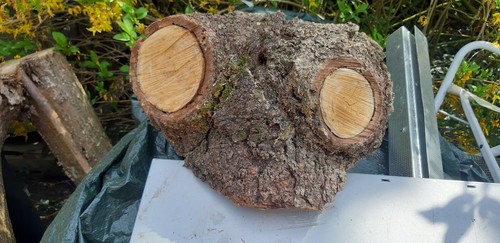 Skulptur von der natur - skulptur,