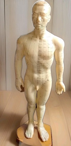 Vintage akupunktur modell - vintage,