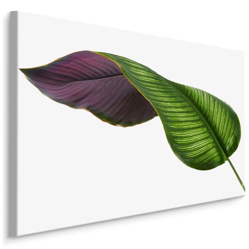 Canvas leinwand bilder xxl - leinwand,