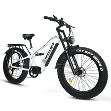 Elektrofahrrad  52V 19AH