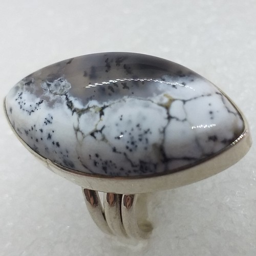 Echter natur dendritenopal - natur,