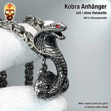 Königs Kobra Schlange