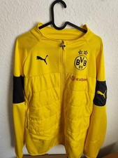 Borussia Dortmund BVB