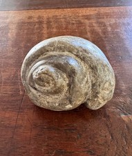 Seltene große 1597gr