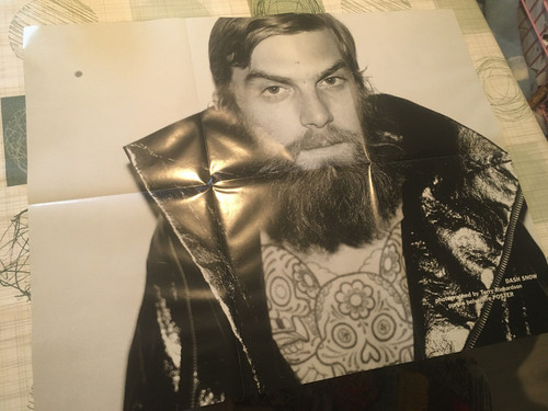 Poster dash snow - dash,
