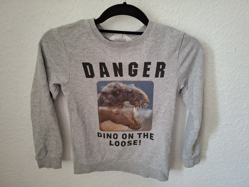 Langarmpulli dino wackelbild - langarmpulli,