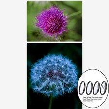 Nahaufnahmefilter-Kit, +1 +2