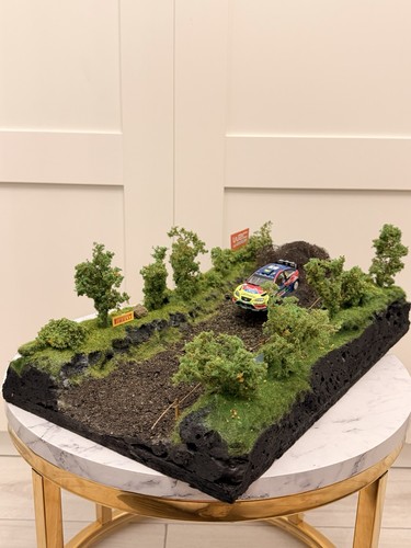 Diorama rally makieta - 1:43,