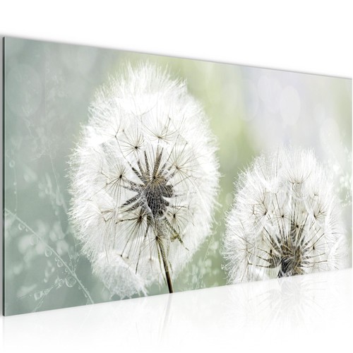 Wandbild blumen bilder xxl - bilder,