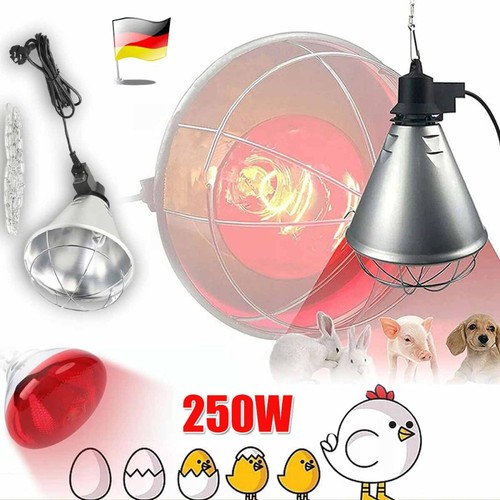 Wärmelampe inkl 250 - wärmelampe, w