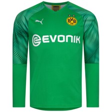 BVB Borussia Dortmund 110th