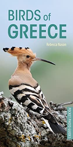 Birds greece pocket - birds, photo