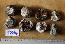 Markasit marcasite Pyrit