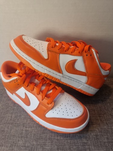 Nike dunk low - retro, sp