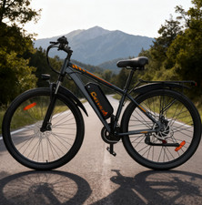 1000W Elektrofahrrad 29Zoll