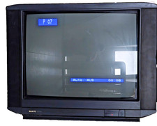 Sanyo TV Fernseher