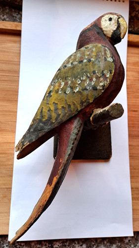 Original zustand papagei - zustand,