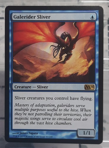 Magic galerider sliver - -,