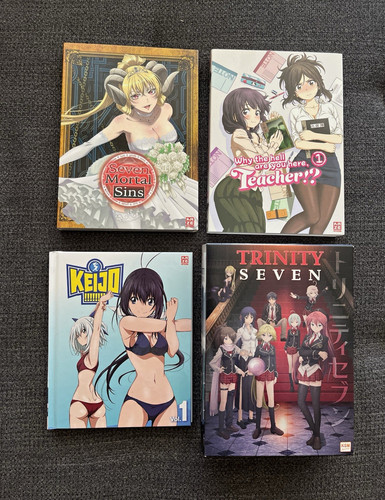 Ecchi anime dvd sammlung - ecchi,