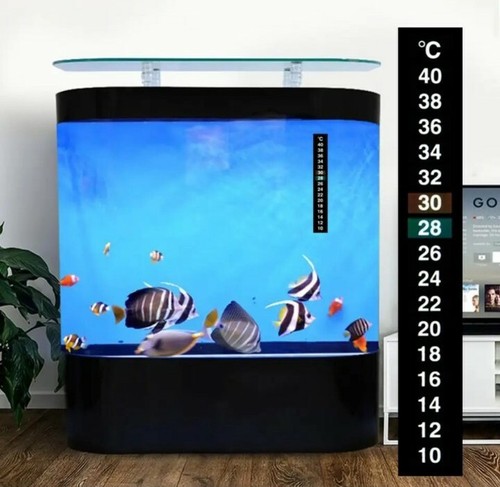 Aquarium terrarium fisch - aquarium🐠,